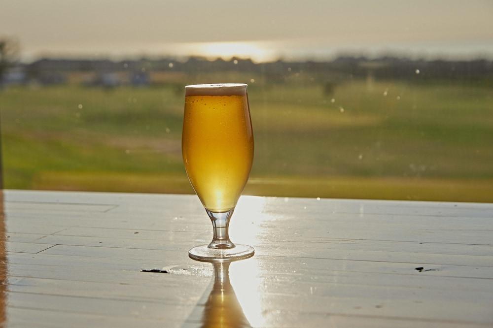 Koura Bay Golf Resort Kaikoura Kültér fotó